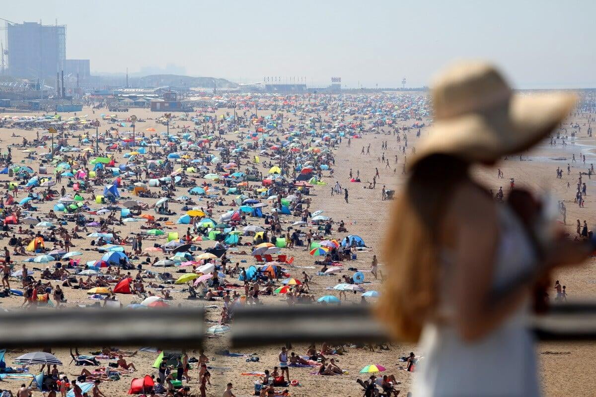 beach scheveningen